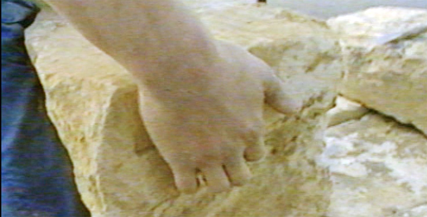 Sauvetage d'une choquette de vigne