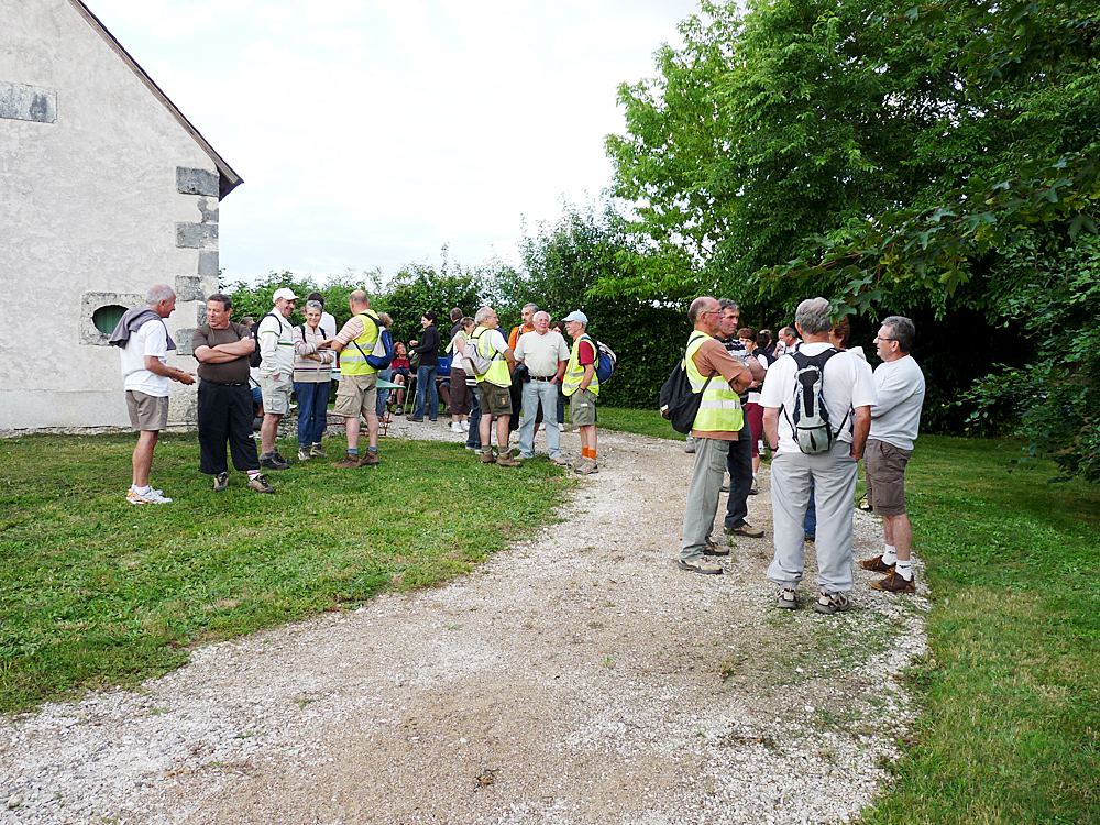 Sauvetage d'une choquette de vigne