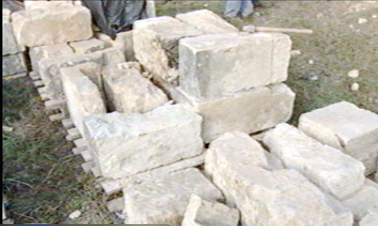 Sauvetage d'une choquette de vigne