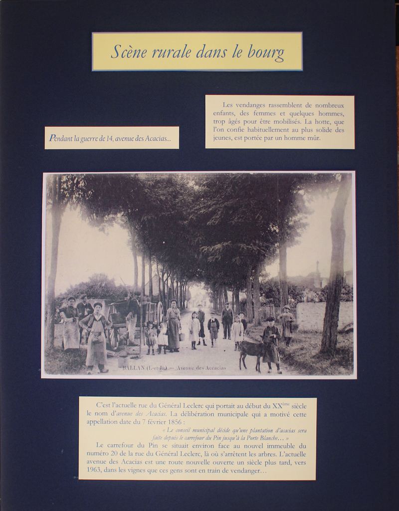 Images de la vie rurale à Ballan-Miré